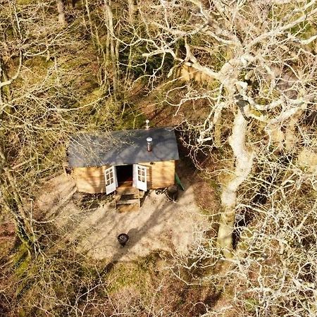 Bluebell Shepherds Hut Rolvenden Zewnętrze zdjęcie